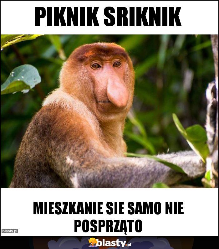 PIKNIK SRIKNIK PIKNIK SRIKNIK
