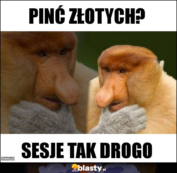 Pinć złotych? Pinć złotych?