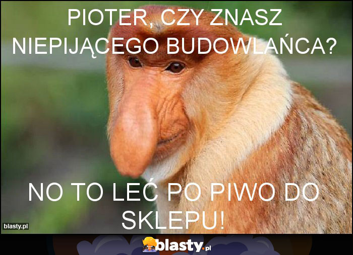 Pioter, czy znasz niepijącego budowlańca? Pioter, czy znasz niepijącego budowlańca?