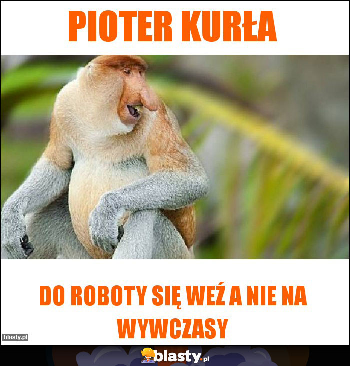 Pioter kurła Pioter kurła