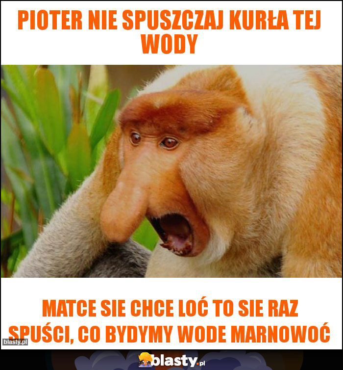 pioter nie spuszczaj kurła tej wody pioter nie spuszczaj kurła tej wody