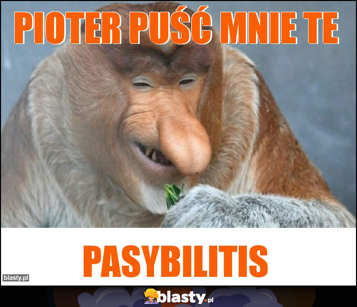 Pioter puść mnie te Pioter puść mnie te