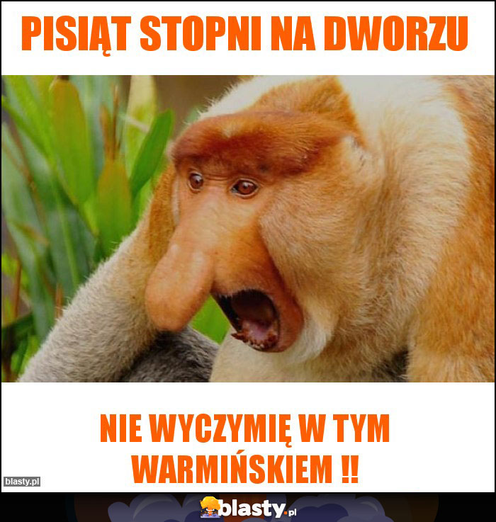 PISIĄT STOPNI NA DWORZU PISIĄT STOPNI NA DWORZU
