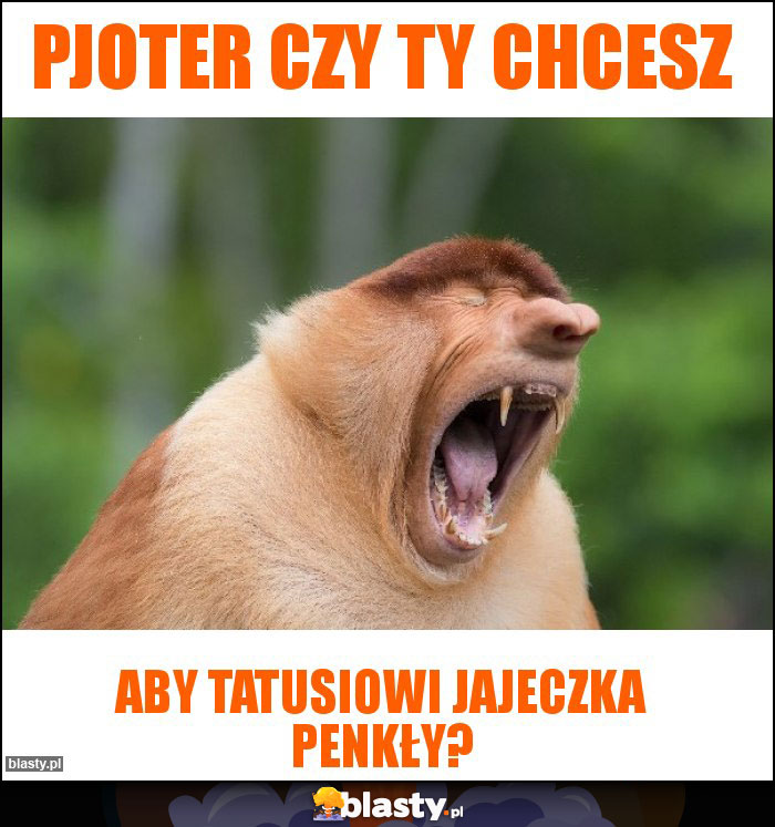 pjoter czy ty chcesz pjoter czy ty chcesz