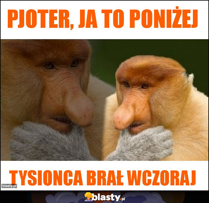 Pjoter, ja to poniżej Pjoter, ja to poniżej
