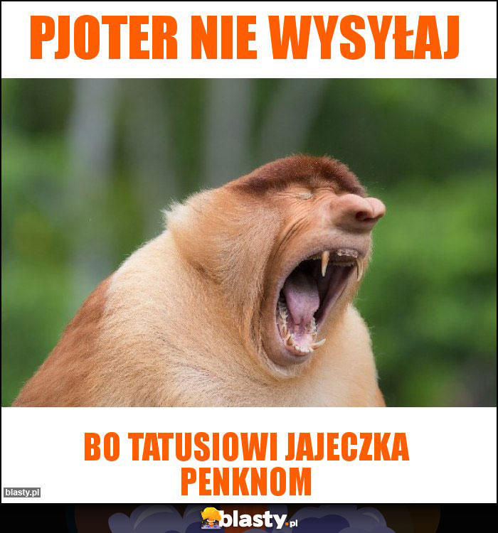 Pjoter nie wysyłaj Pjoter nie wysyłaj