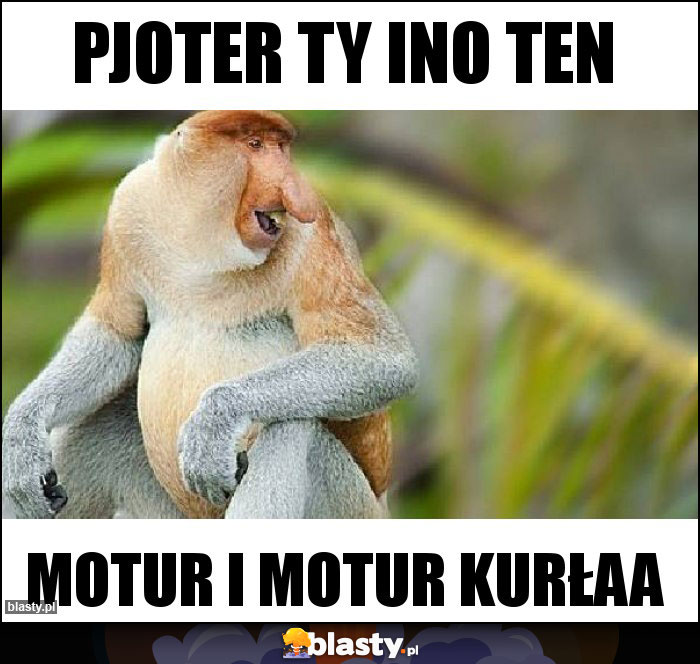 Pjoter ty ino ten Pjoter ty ino ten