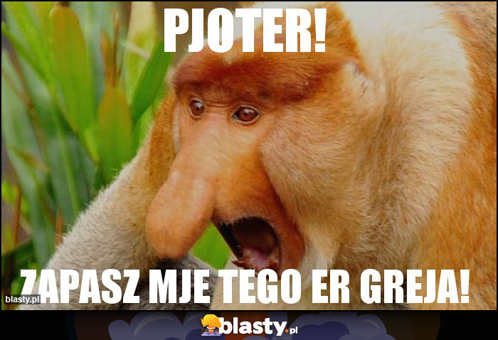 PJoTER!