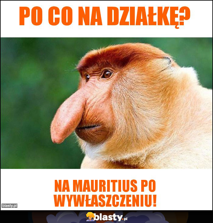 po co na działkę? po co na działkę?