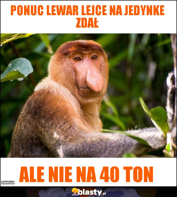 Ponuc lewar lejce na jedynke zdał Ponuc lewar lejce na jedynke zdał
