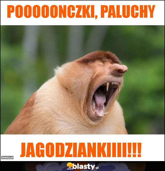 Pooooonczki, paluchy Pooooonczki, paluchy