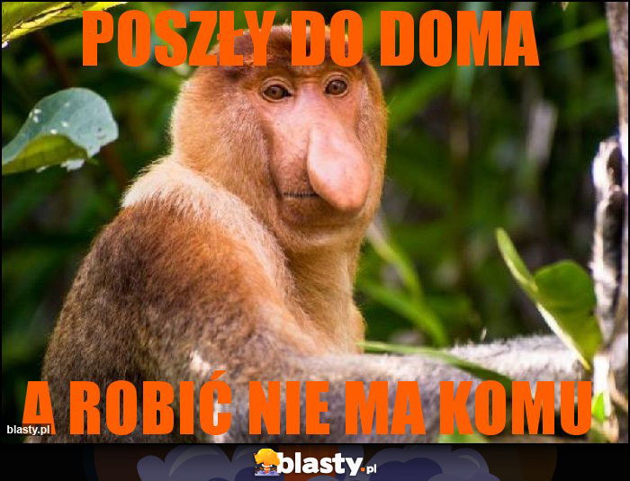 Poszły do doma Poszły do doma