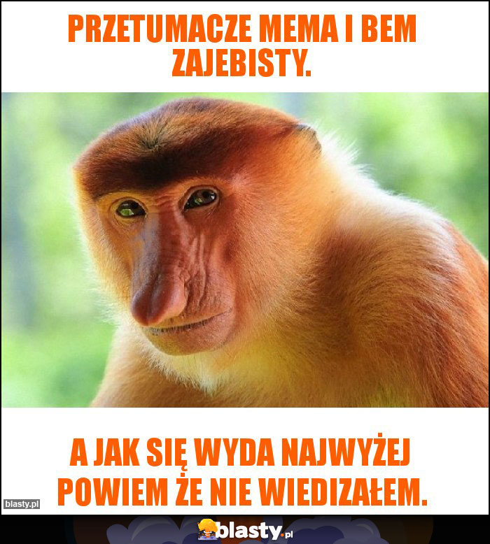 Przetumacze mema i bem zajebisty. Przetumacze mema i bem zajebisty.