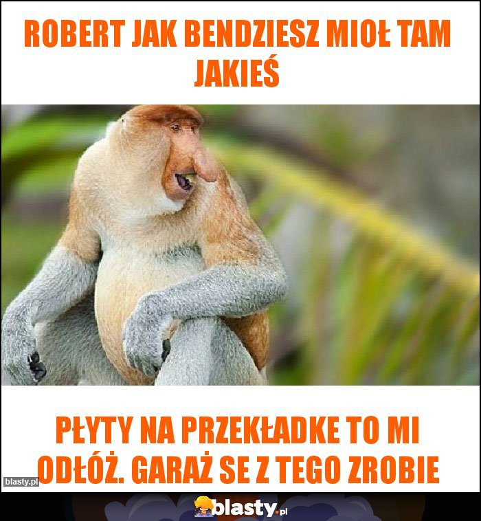 Robert jak bendziesz mioł tam jakieś Robert jak bendziesz mioł tam jakieś