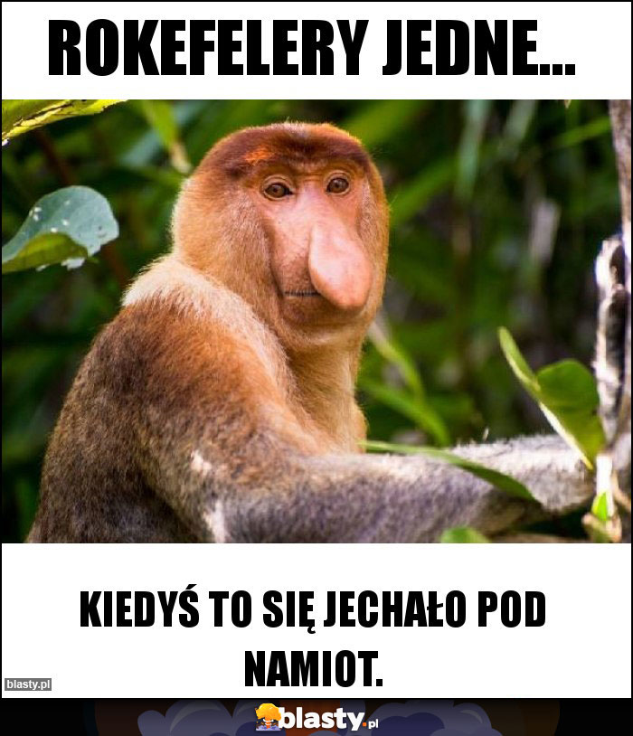 Rokefelery jedne... Rokefelery jedne...