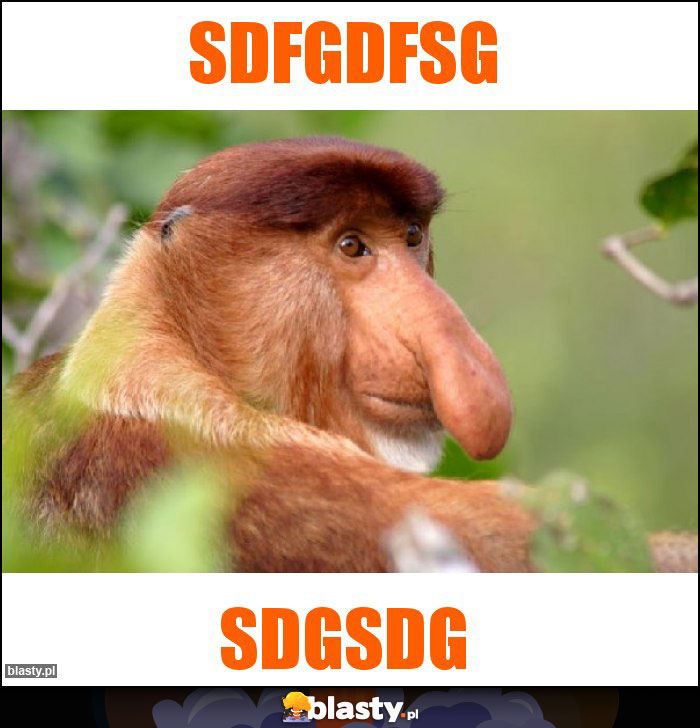 sdfgdfsg