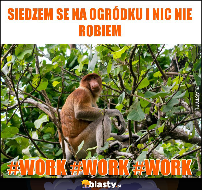 Siedzem se na ogródku i nic nie robiem Siedzem se na ogródku i nic nie robiem