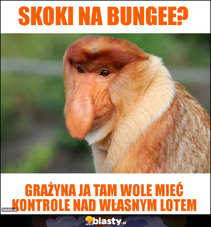 Skoki na bungee? Skoki na bungee?