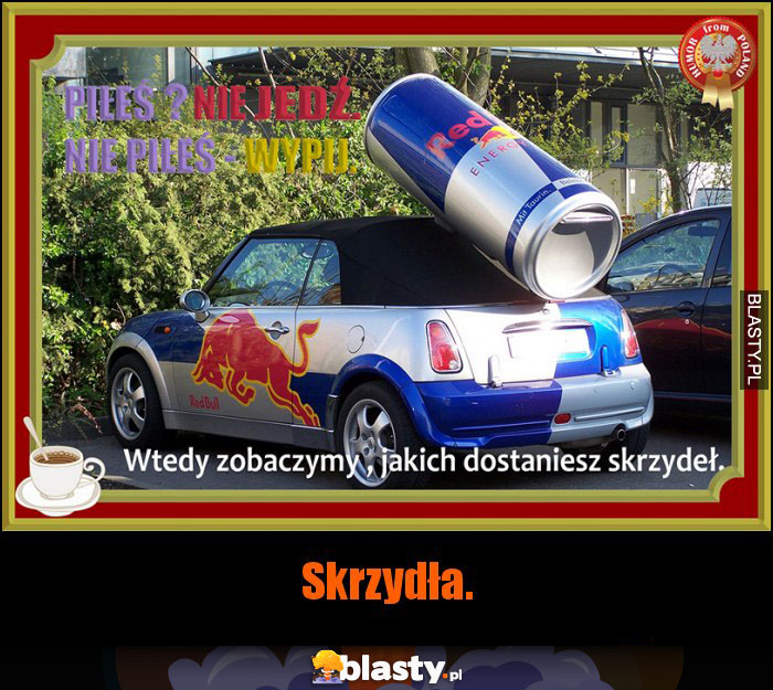 Skrzydła.