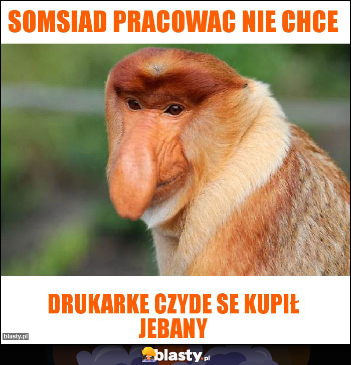 Somsiad pracowac nie chce Somsiad pracowac nie chce