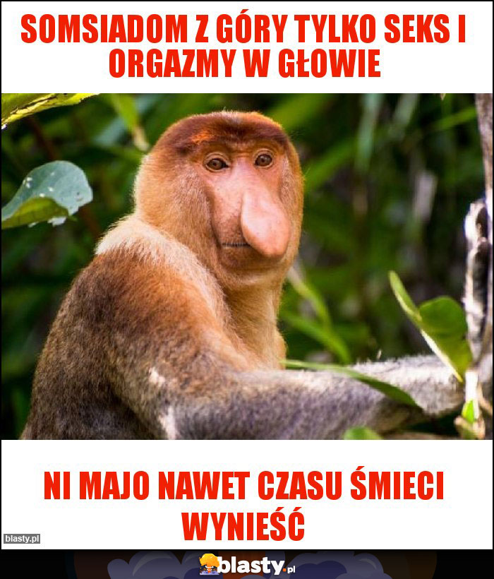 Somsiadom z góry tylko seks i orgazmy w głowie Somsiadom z góry tylko seks i orgazmy w głowie