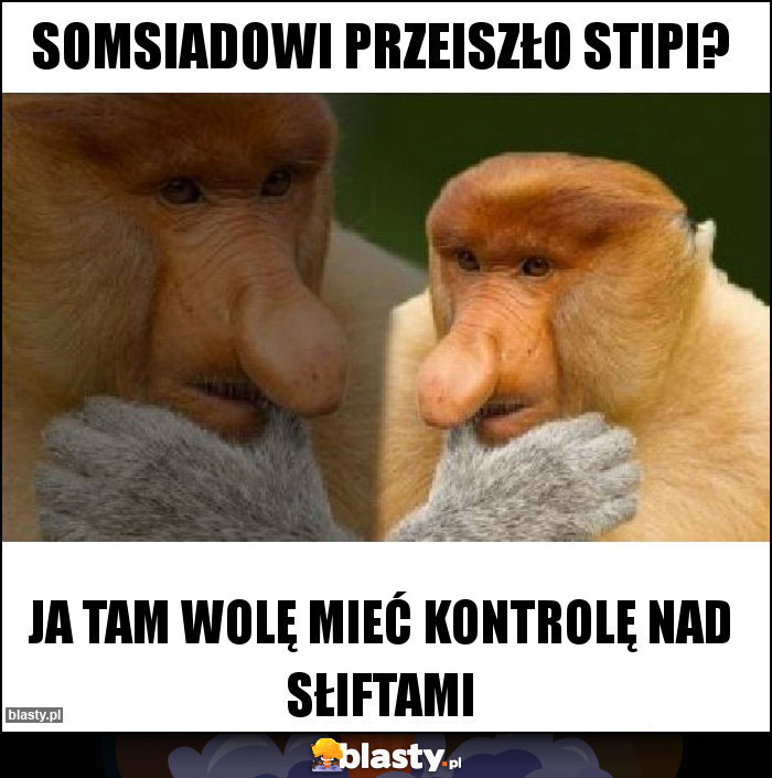 SOMSIADOWI PRZEISZŁO STIPI? SOMSIADOWI PRZEISZŁO STIPI?