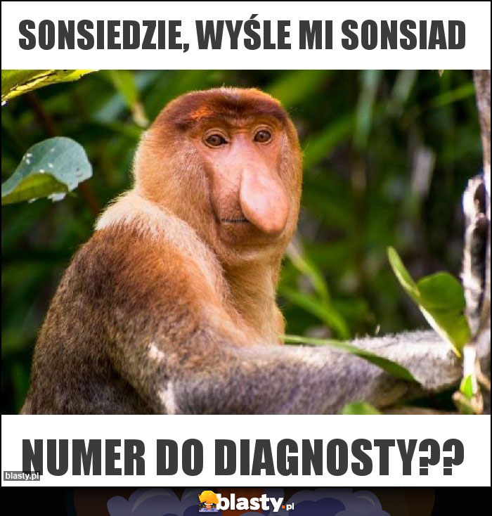 Sonsiedzie, wyśle mi sonsiad Sonsiedzie, wyśle mi sonsiad