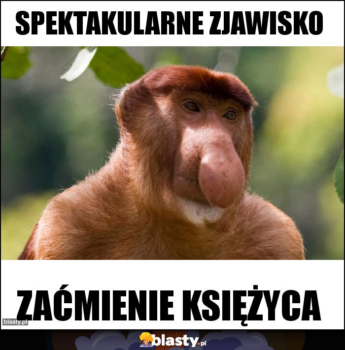 Spektakularne zjawisko Spektakularne zjawisko