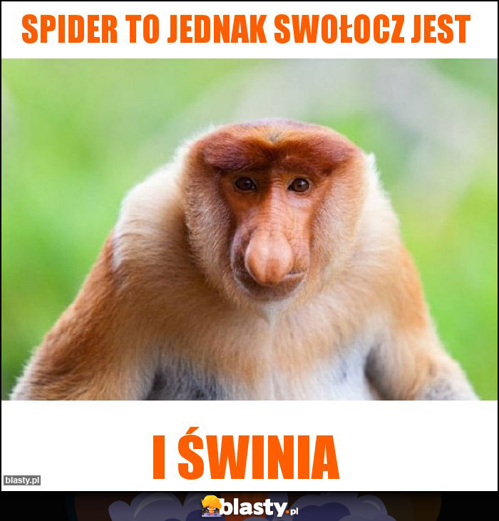 Spider to jednak swołocz jest Spider to jednak swołocz jest