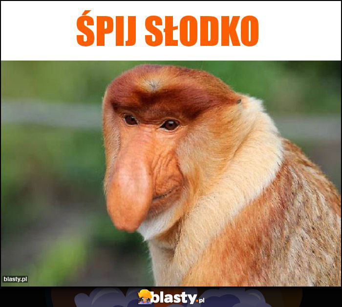 Śpij słodko Śpij słodko