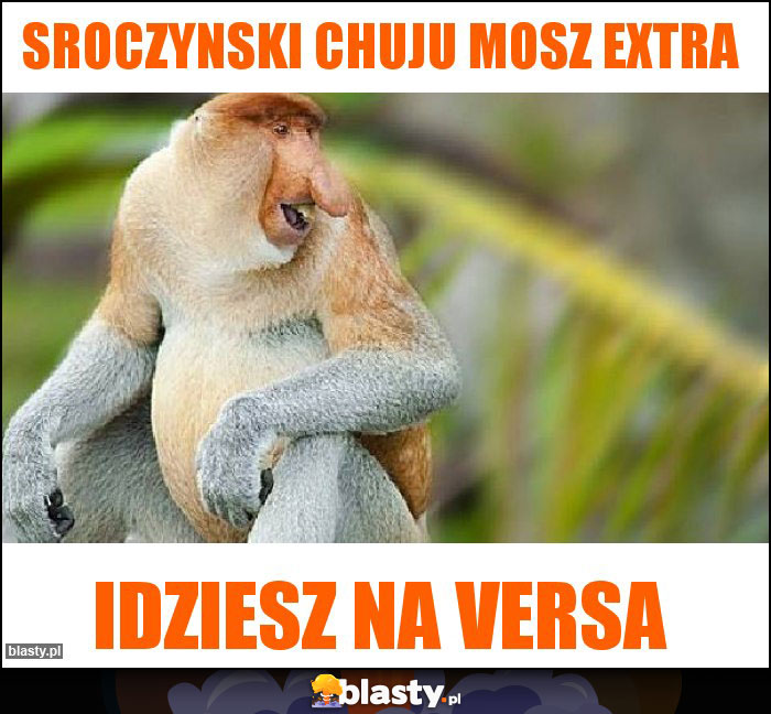 Sroczynski chuju mosz extra Sroczynski chuju mosz extra