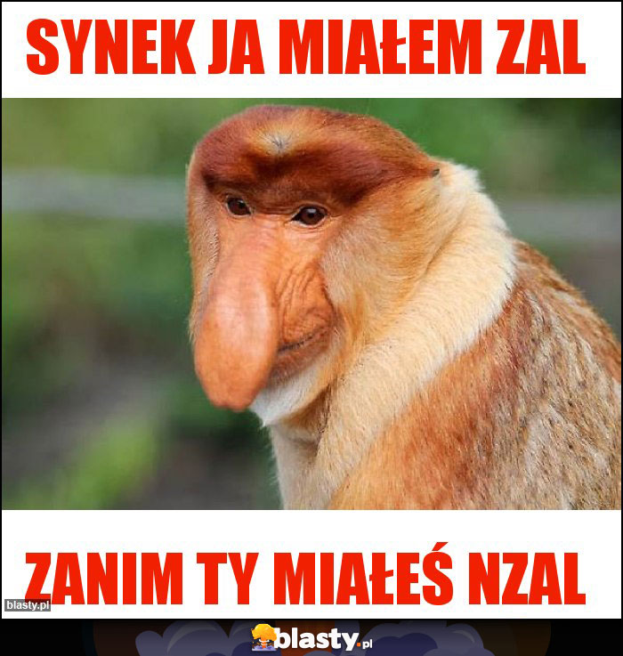 Synek ja miałem zal Synek ja miałem zal