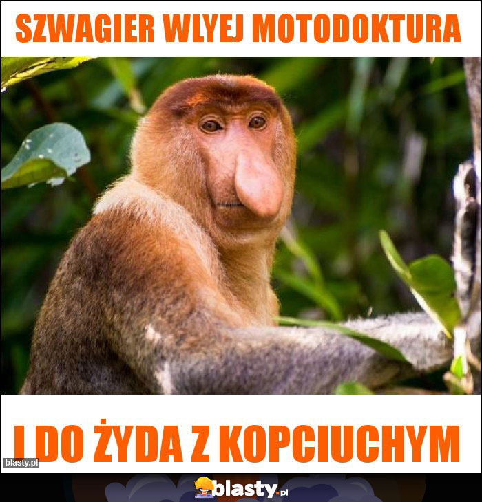 Szwagier wlyej motodoktura Szwagier wlyej motodoktura
