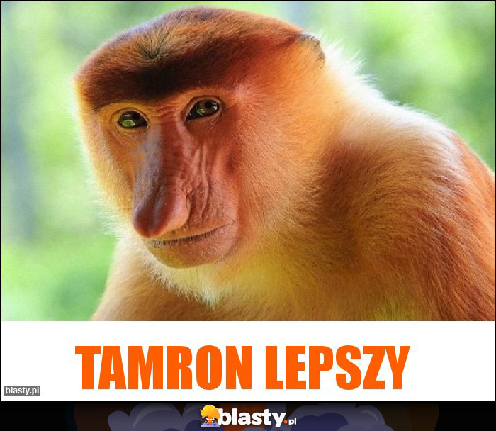 Tamron lepszy Tamron lepszy