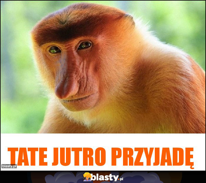 Tate jutro przyjadę Tate jutro przyjadę