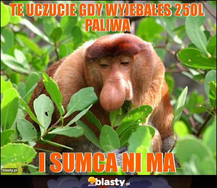 te uczucie gdy wyjebałes 250l paliwa te uczucie gdy wyjebałes 250l paliwa
