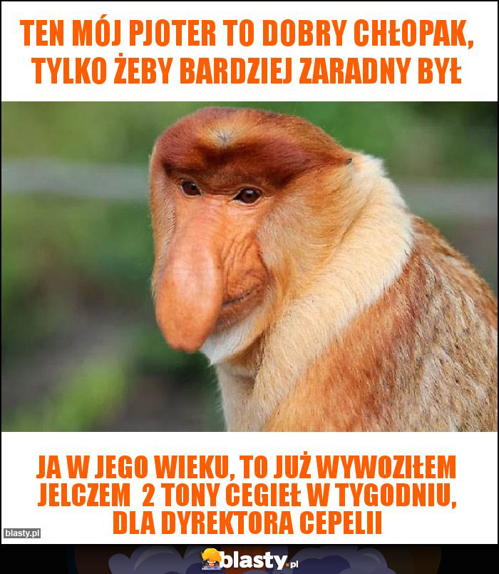 Ten mój Pjoter to dobry chłopak, tylko żeby bardziej zaradny był Ten mój Pjoter to dobry chłopak, tylko żeby bardziej zaradny był
