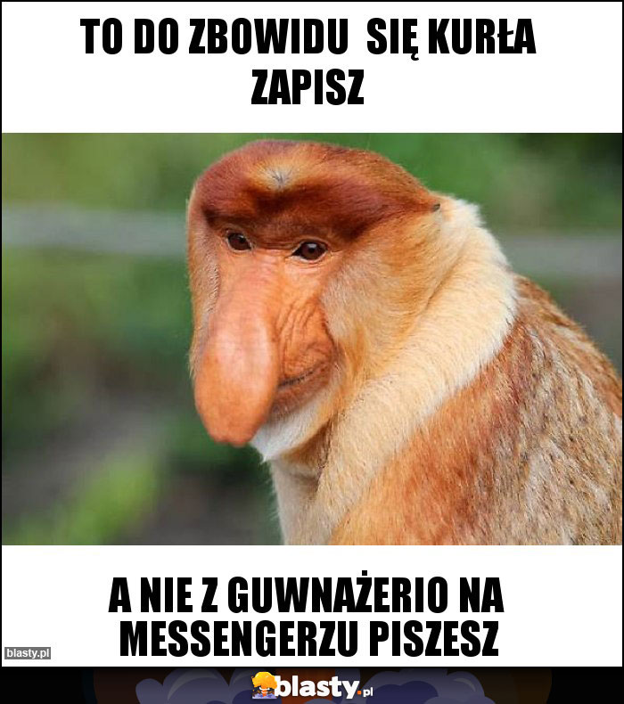 To do zbowidu się kurła zapisz To do zbowidu się kurła zapisz