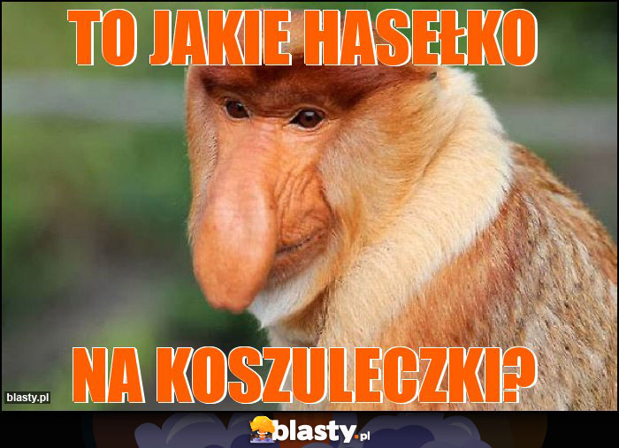 to jakie hasełko to jakie hasełko