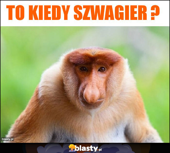 To kiedy Szwagier ? To kiedy Szwagier ?
