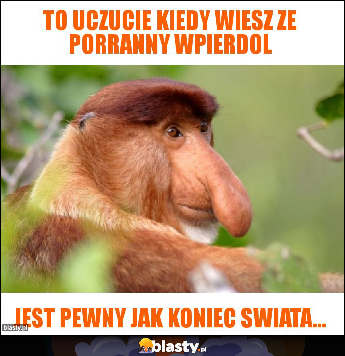 To uczucie kiedy wiesz ze porranny wpierdol To uczucie kiedy wiesz ze porranny wpierdol