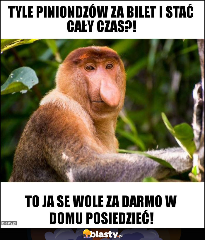 Tyle piniondzów za bilet i stać cały czas?! Tyle piniondzów za bilet i stać cały czas?!