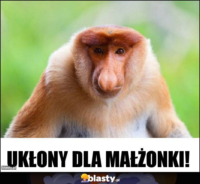 Ukłony dla małżonki! Ukłony dla małżonki!