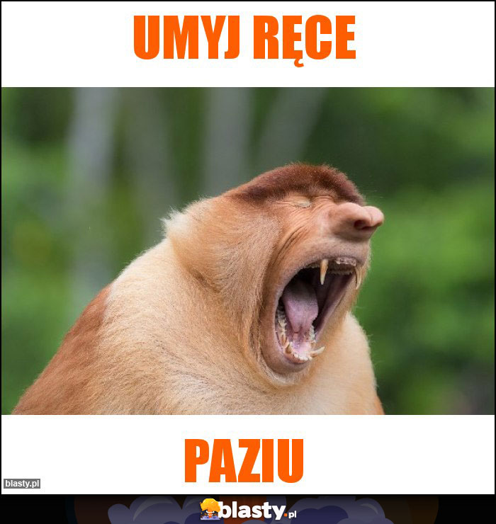 umyj ręce