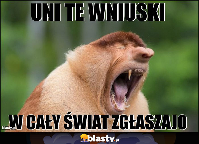 UNI TE WNIUSKI UNI TE WNIUSKI