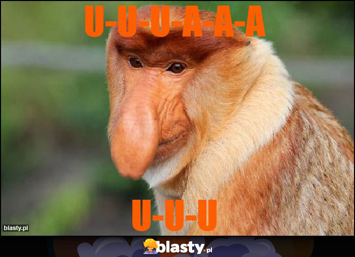U-U-U-A-A-A U-U-U-A-A-A