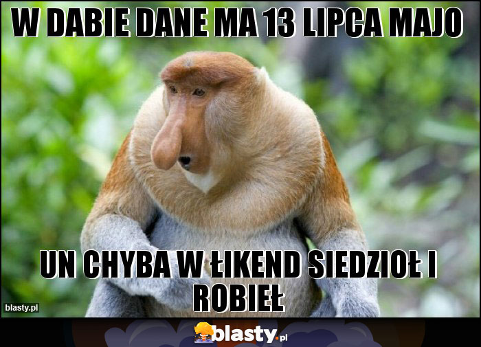 W DABIE DANE MA 13 LIPCA MAJO W DABIE DANE MA 13 LIPCA MAJO