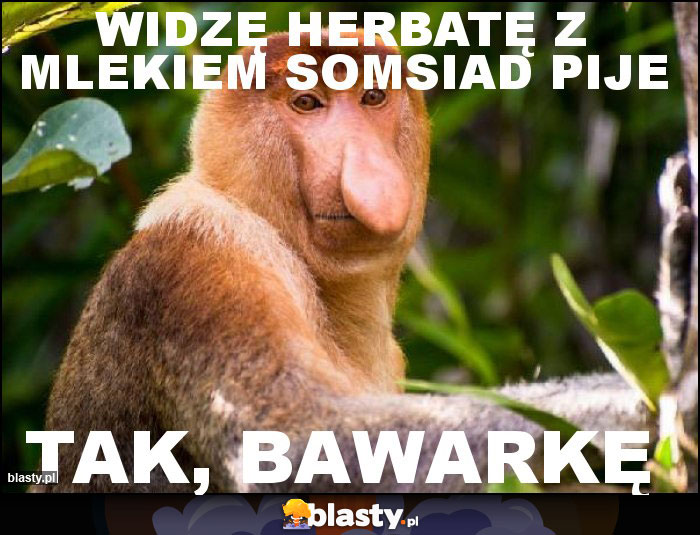 widzę herbatę z mlekiem somsiad pije widzę herbatę z mlekiem somsiad pije