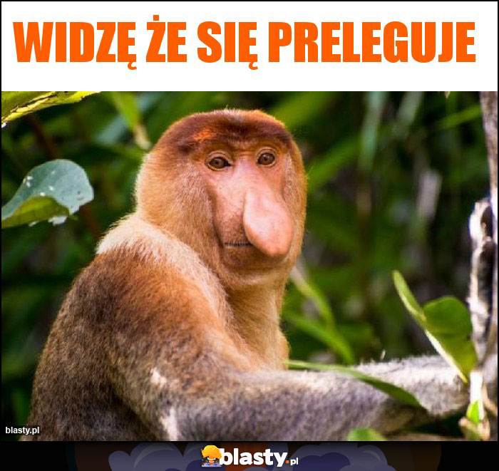 widzę że się preleguje widzę że się preleguje