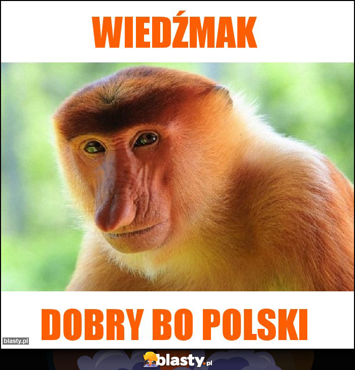 Wiedźmak